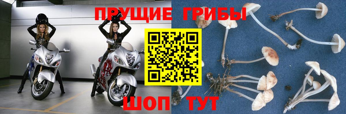 Галлюциногенные грибы MAGIC MUSHROOMS  Псилоцибиновые грибы мухоморы  Качканар  Вход с VPN 