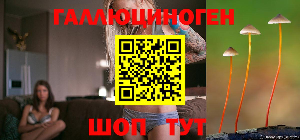 Галлюциногенные грибы мицелий Качканар